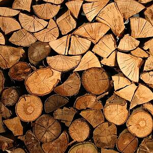 Bild mit Holzstämmen